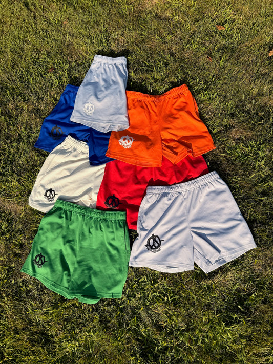 OS Mesh Shorts